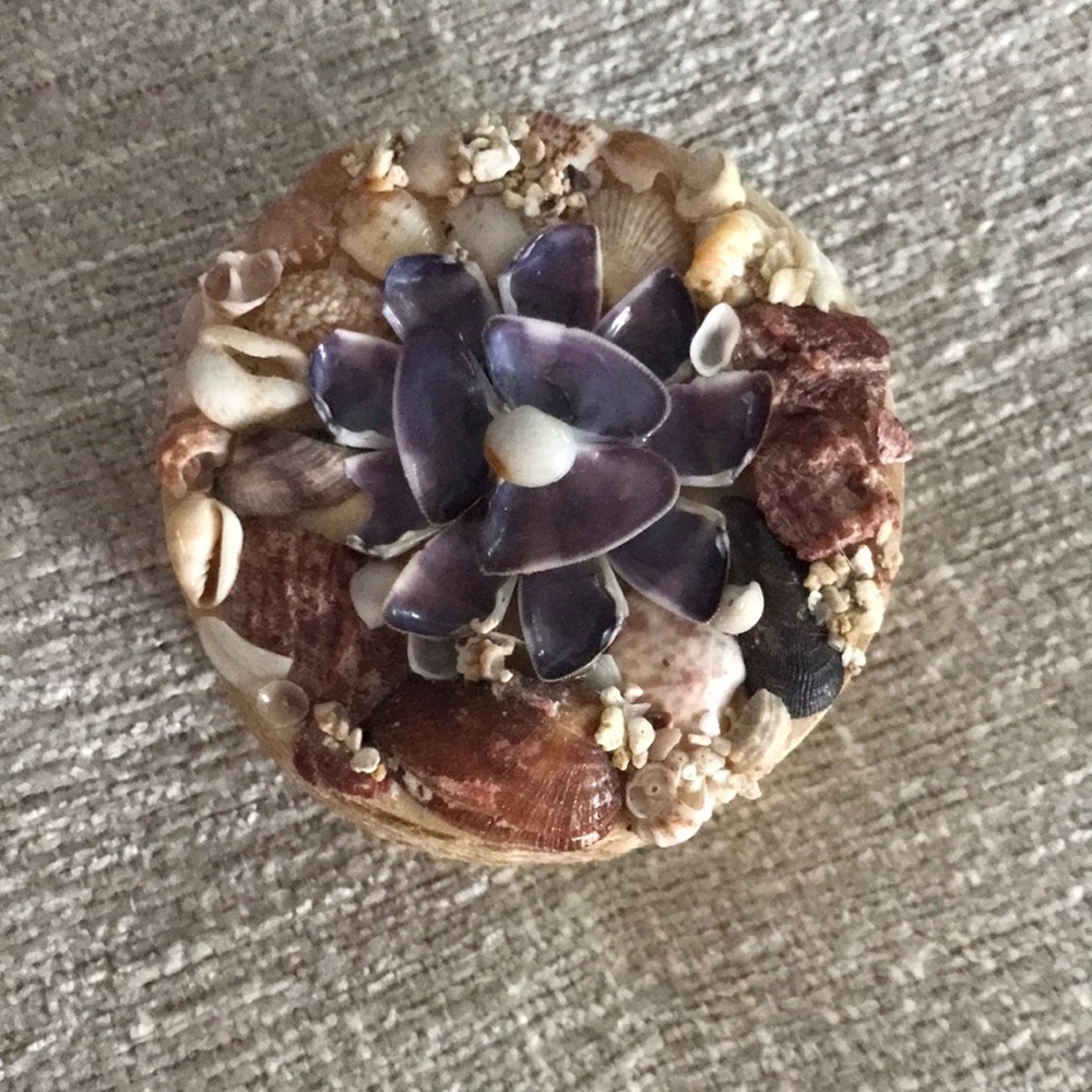 Seashell Jewelry Box